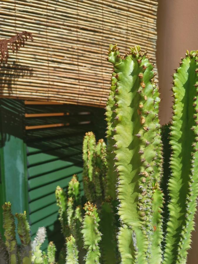 Paradise Villa Corralejo Exterior foto